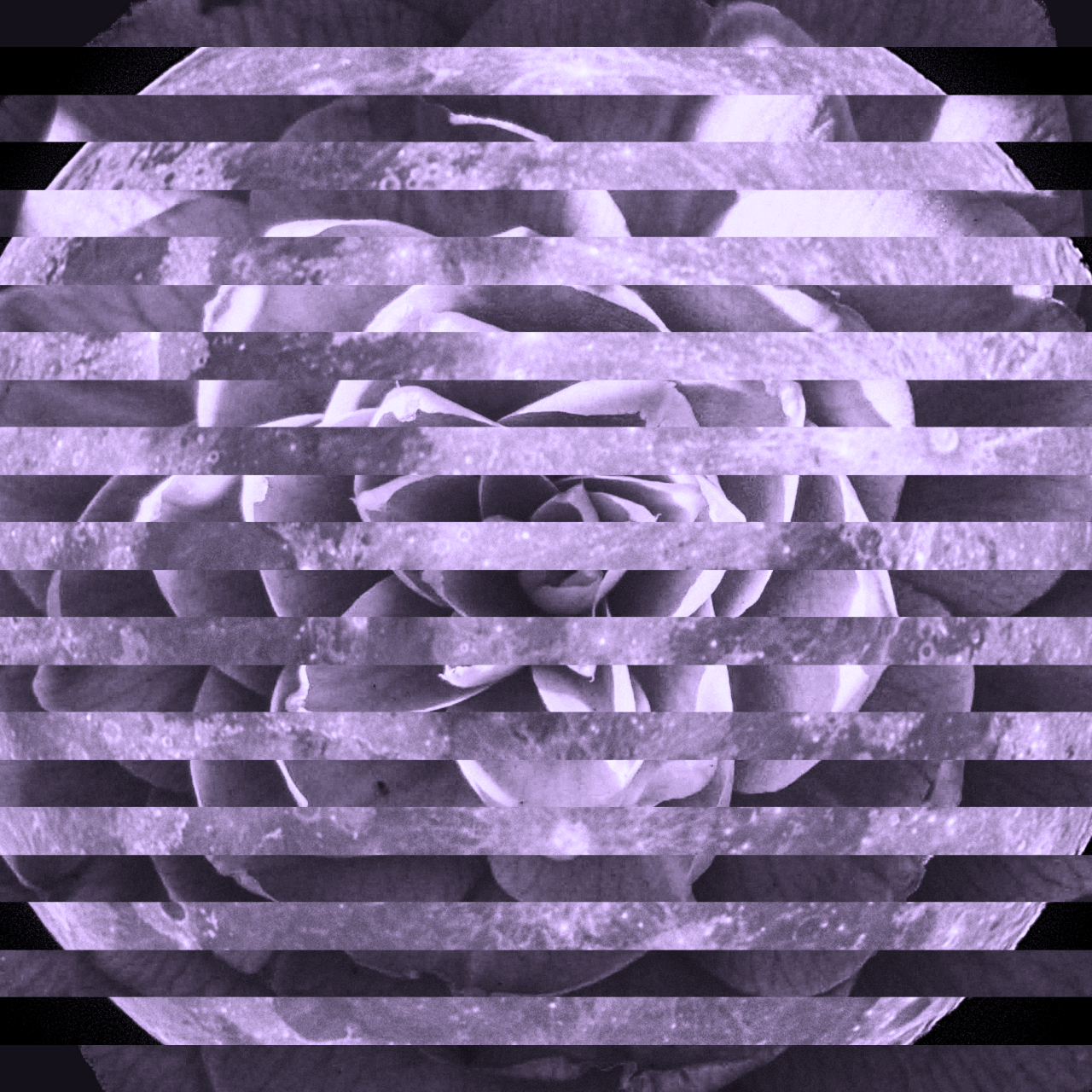 Innovative Approaches to Internal Talent Mobility for Enhanced Recruitment